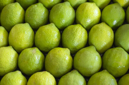 Limoni di Sicilia: storia, peculiarità e benefici sulla salute