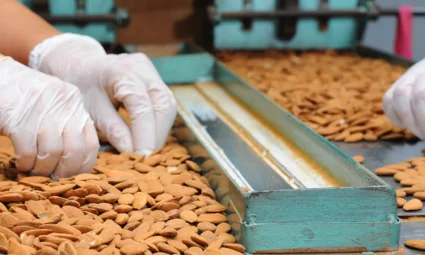 Differenza tra mandorle siciliane e californiane￼