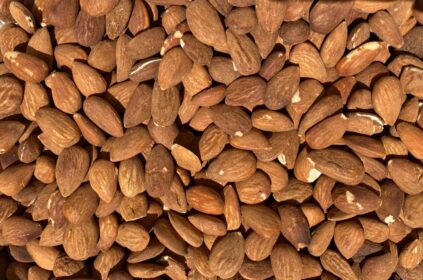 Ti raccontiamo la raccolta delle mandorle nell’entroterra:  ogni fase del lavoro agricolo rende la nostra mandorla  bio un tesoro da custodire