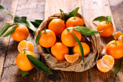 Clementine siciliane: storia, tipologie e coltivazione biologica