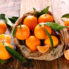 Clementine siciliane: storia, tipologie e coltivazione biologica