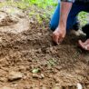 Cosa c’è dietro al biologico: etica, requisiti e sfide reali di chi sceglie di essere un’azienda agricola certificata