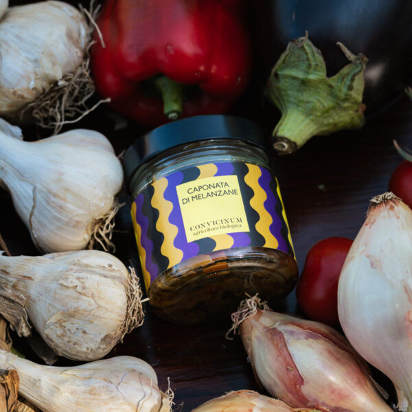 Caponata di melanzane biologica 170g