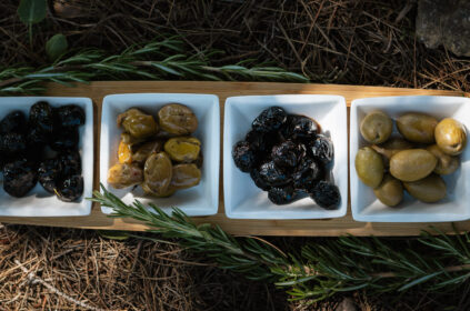 Olive siciliane: storia, origini, varietà agronomiche e usi nella cucina siciliana